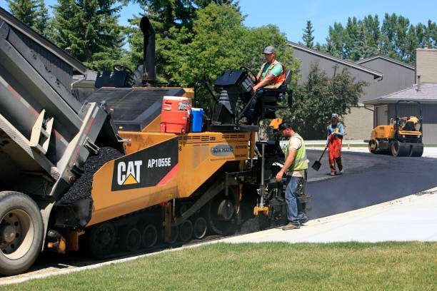 Best Driveway Pavers Near Me  in Asbury Lake, FL